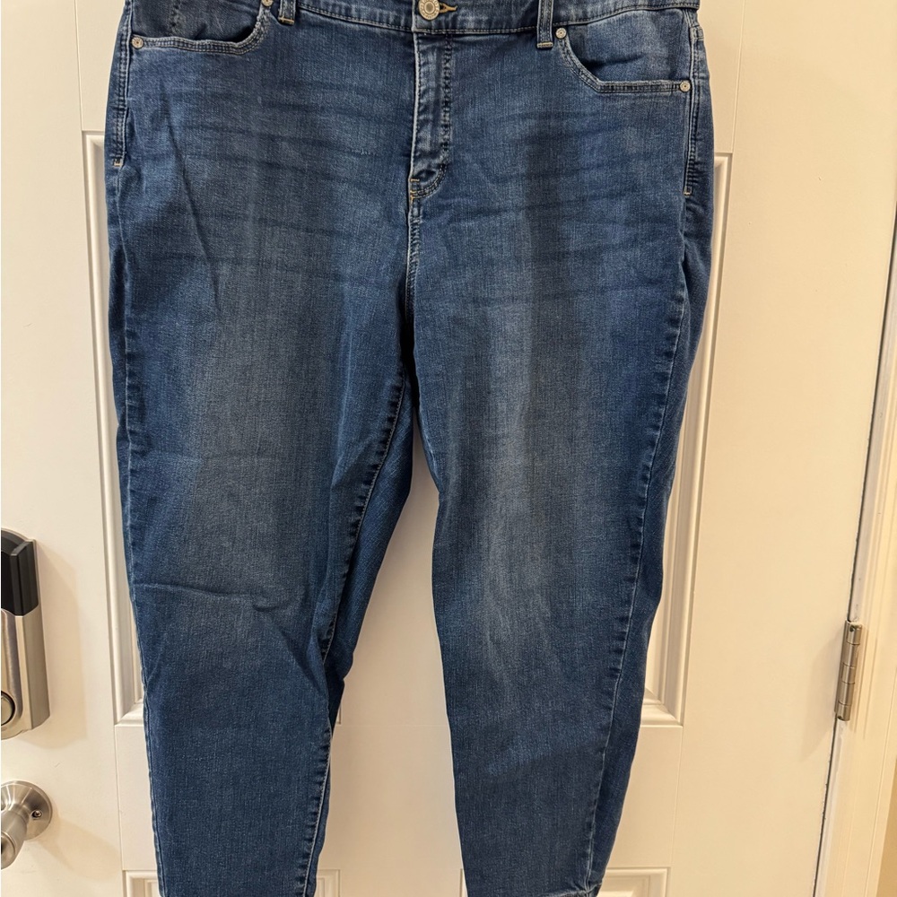 Talbots Women's Jeggings Jeans in Blue